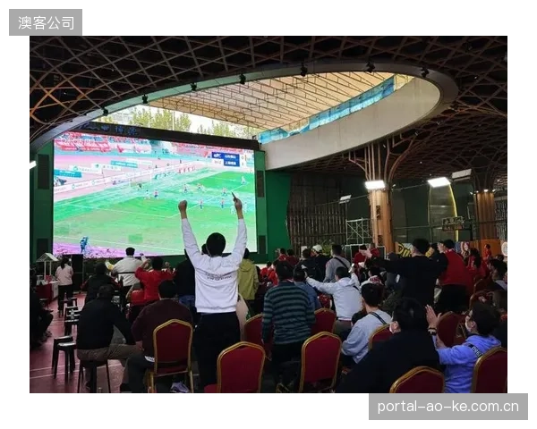 球迷现场观赛体验引担忧，后勤保障与应急预案面临巨大压力，需防范中暑事件。